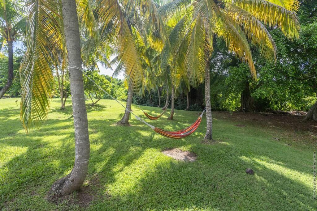 Suite Tropicale Village Vacances Sainte-Luce Eksteriør billede